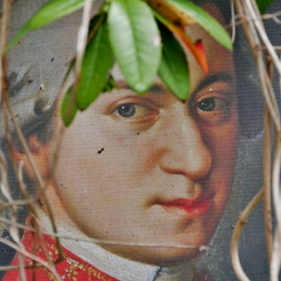 Leaf through branches in front of the composer's poster
