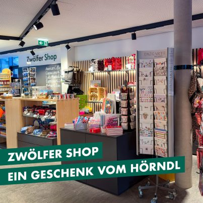 ZH-Kachel-Website-Shop-DE