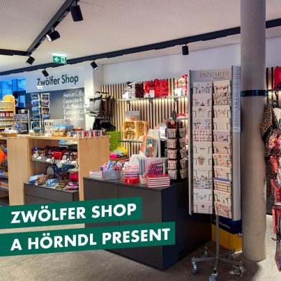 ZH-Kachel-Website-Shop-EN