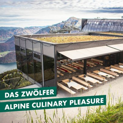 ZH-Kachel-Website-Zwölfer-EN